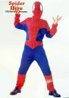  Детский карнавальный костюм Человека-паука, Спайдермена, на 11-14 лет, фирмы Laplandia  артикул  8534-L , код  40753. В комплекте комбинезон и шапка-маска с прорезями для глаз 